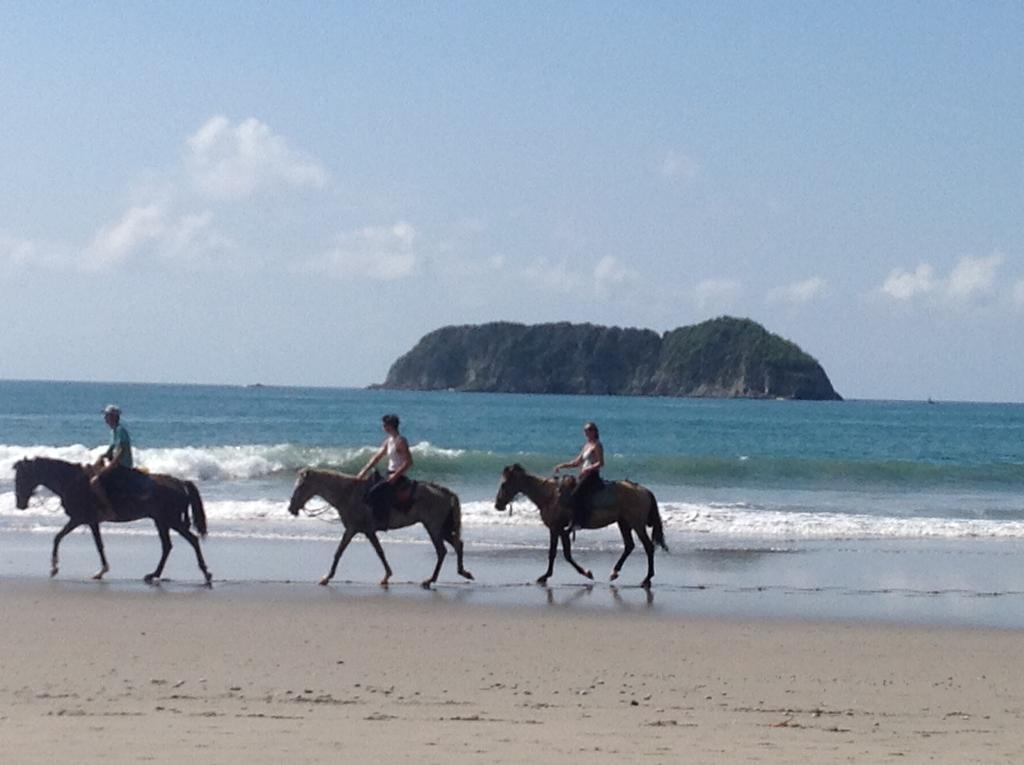 Casa Libertinn Manuel Antonio Bagian luar foto