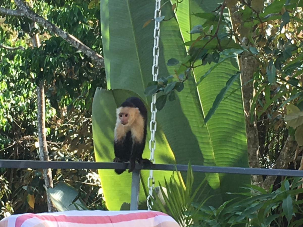 Casa Libertinn Manuel Antonio Bagian luar foto